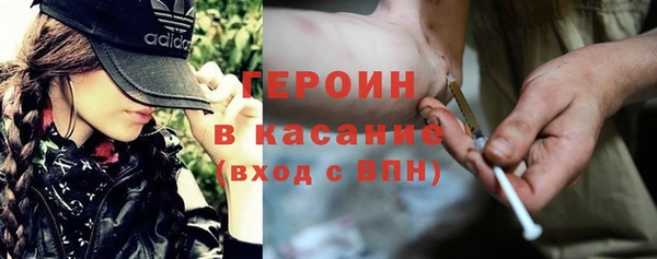 гашик Ельня