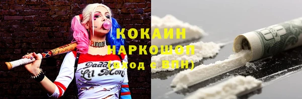 гашик Ельня