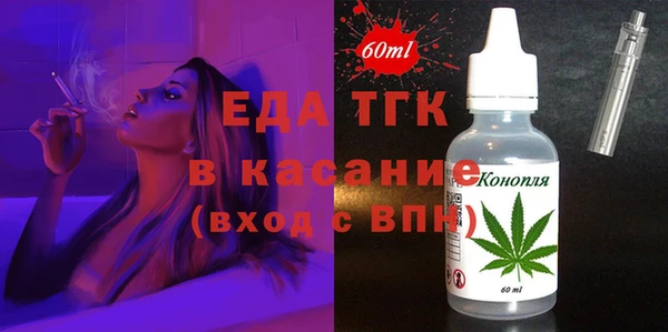гашик Ельня