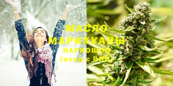 гашик Ельня