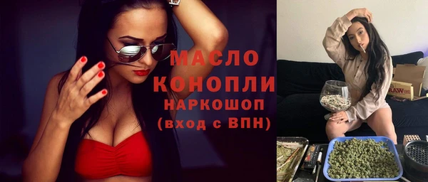 гашик Ельня