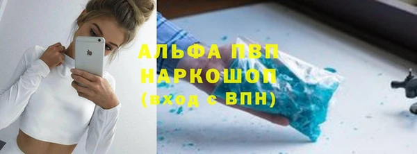 гашик Ельня