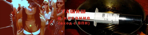 гашик Ельня