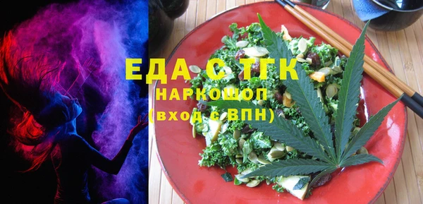 гашик Ельня