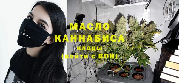 гашик Ельня