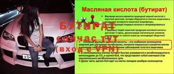 гашик Ельня