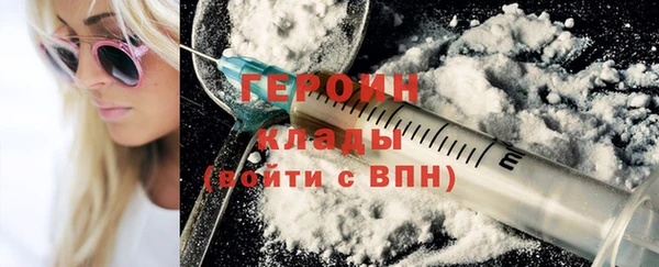 гашик Ельня