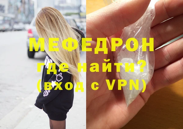 гашик Ельня