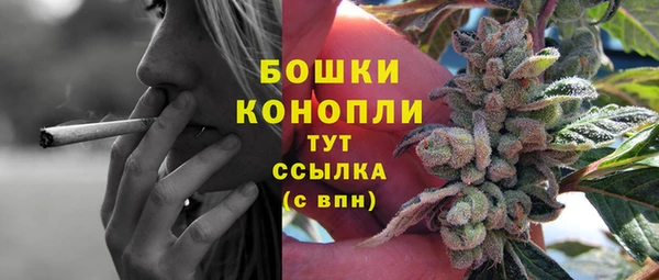 гашик Ельня