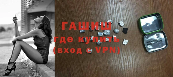 гашик Ельня
