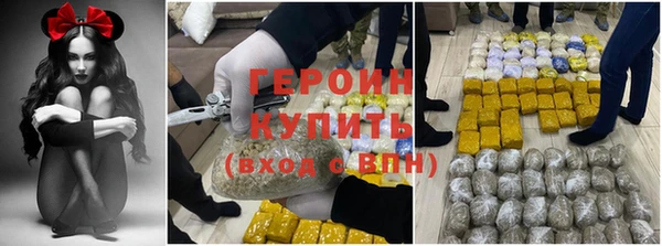 гашик Ельня