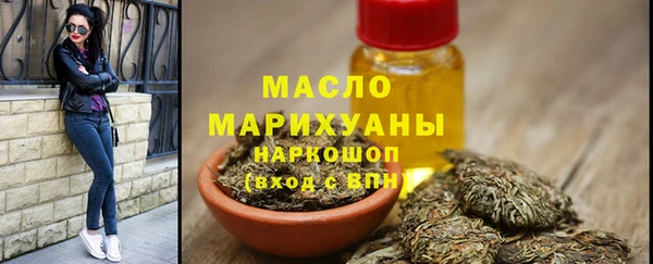 гашик Ельня