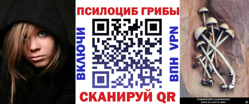 Псилоцибиновые грибы Psilocybine cubensis  Купить  Копейск 